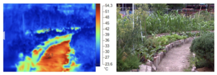 UNESCO 8°C / Huerto Tlatelolco 9.5°C: Regeneración social y climática en el corazón de la Ciudad de México